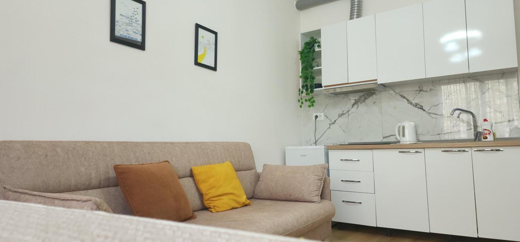 Helianthus, By Bloom In Apartment *